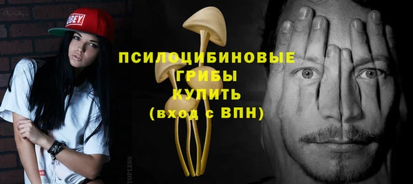 spice Верея